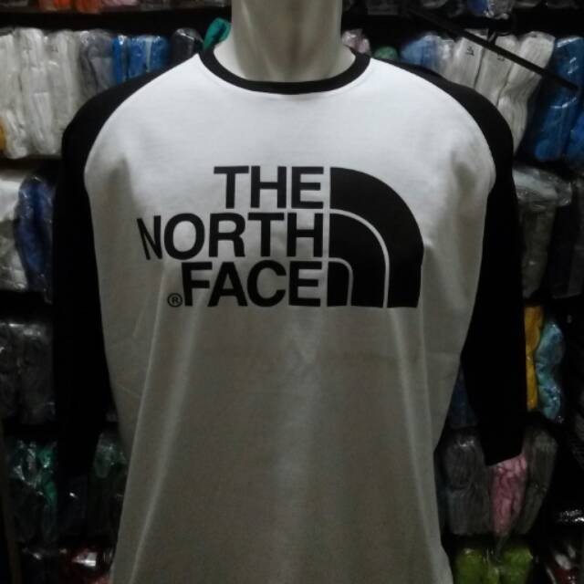 Kaos The North Face