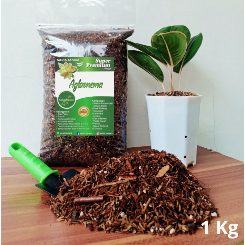MEDIA TANAM AGLONEMA - SUPER PREMIUM - 1KG