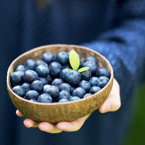 

Buah | Blueberry Frozen Iqf Import Usa 1Kg