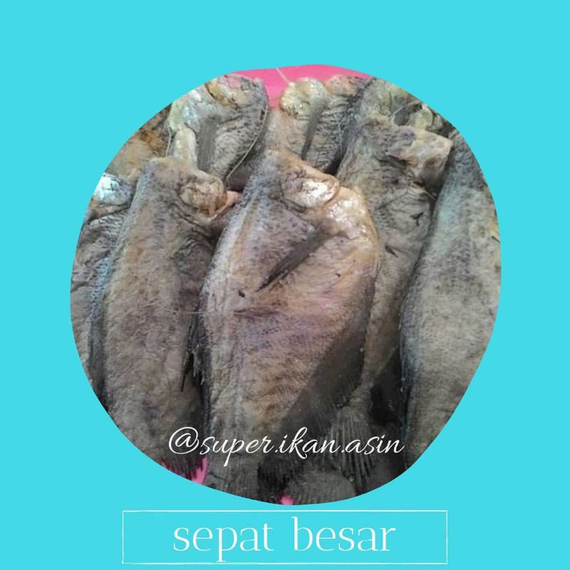 

IKAN ASIN SEPAT BESAR