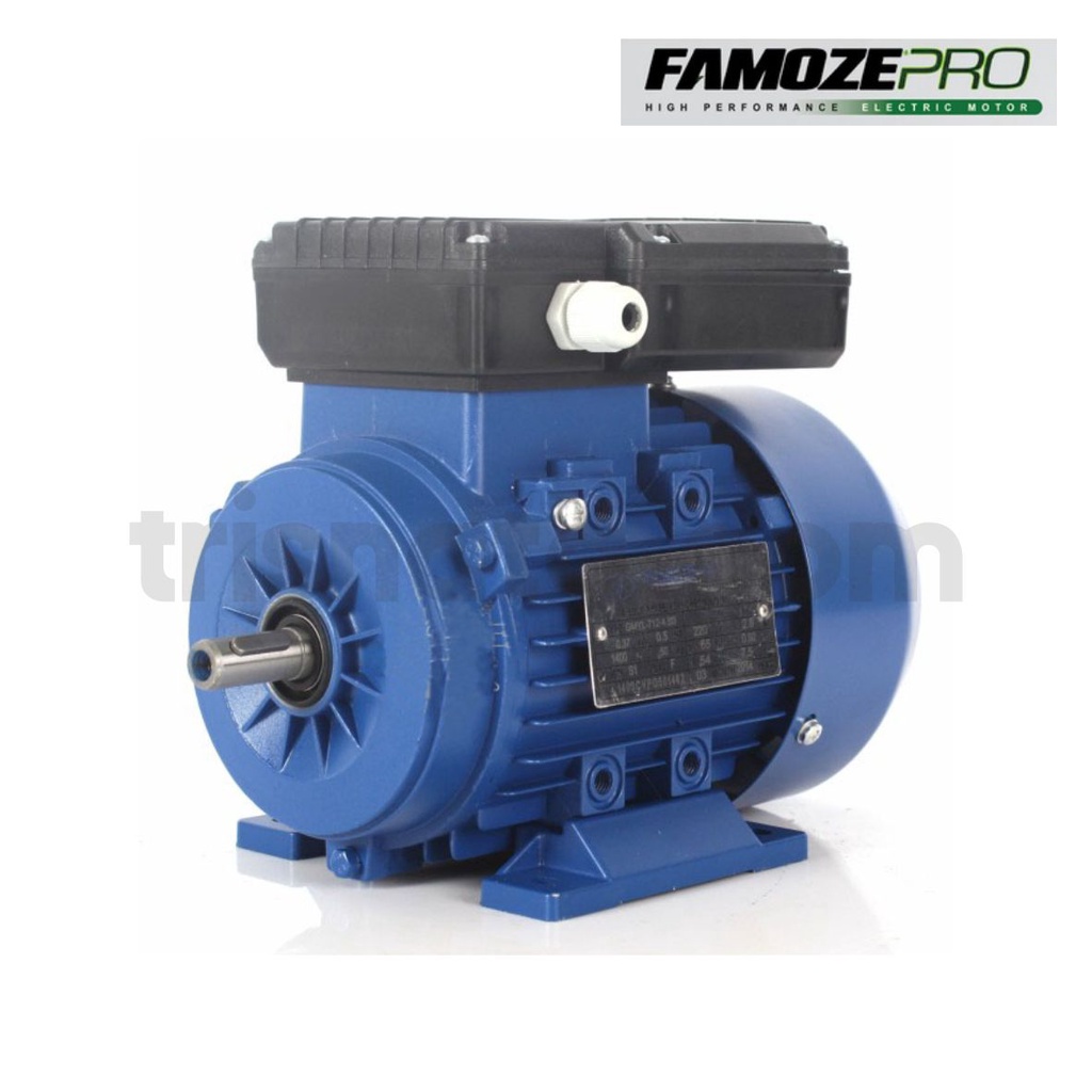 FAMOZE PRO DINAMO 1,5 HP 1500 RPM  1 PHASE ELEKTRIK MOTOR