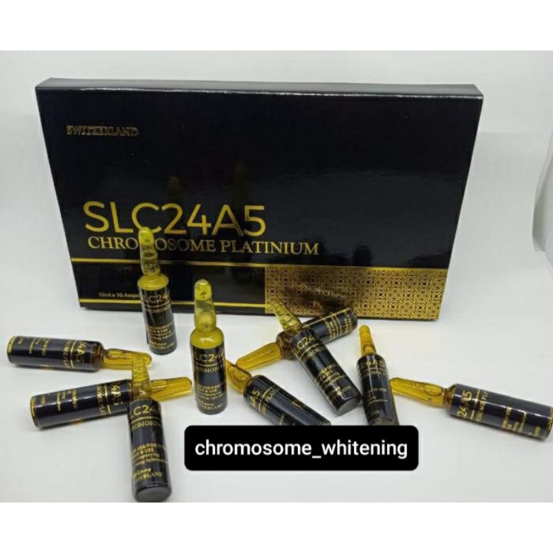 SLC24A5 CHROMOSOME PLATINUM / CHROMOSOME