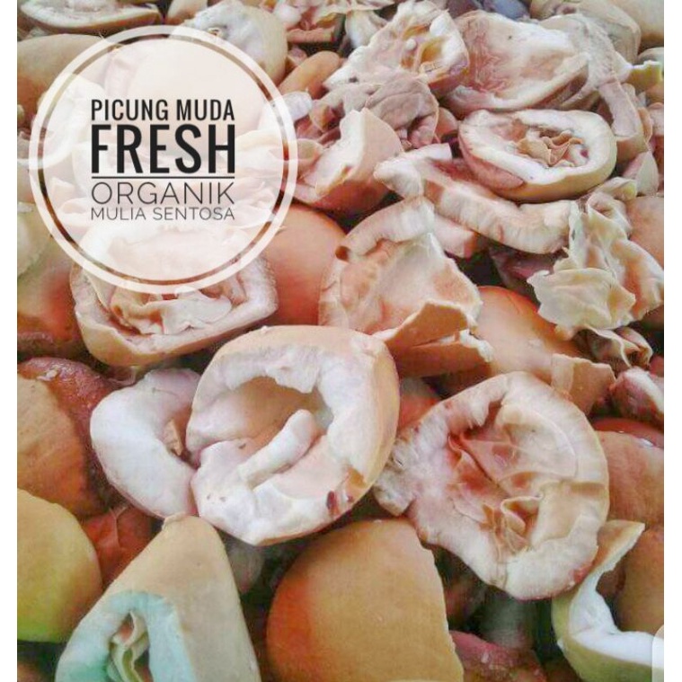 

Picung Muda premium Fresh Organik tidak pahit 500 gram / Pucung Muda / Kepayang / Kluwek Muda / sayur picung