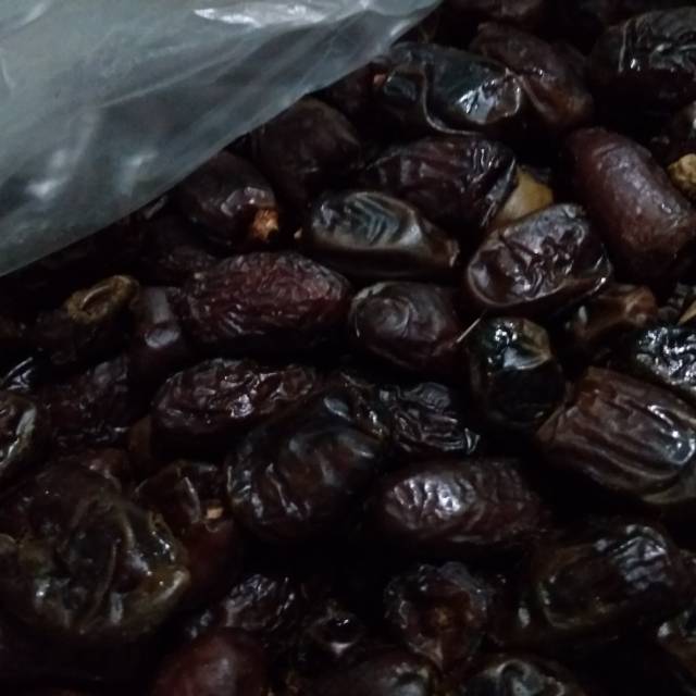 

Kurma mesir