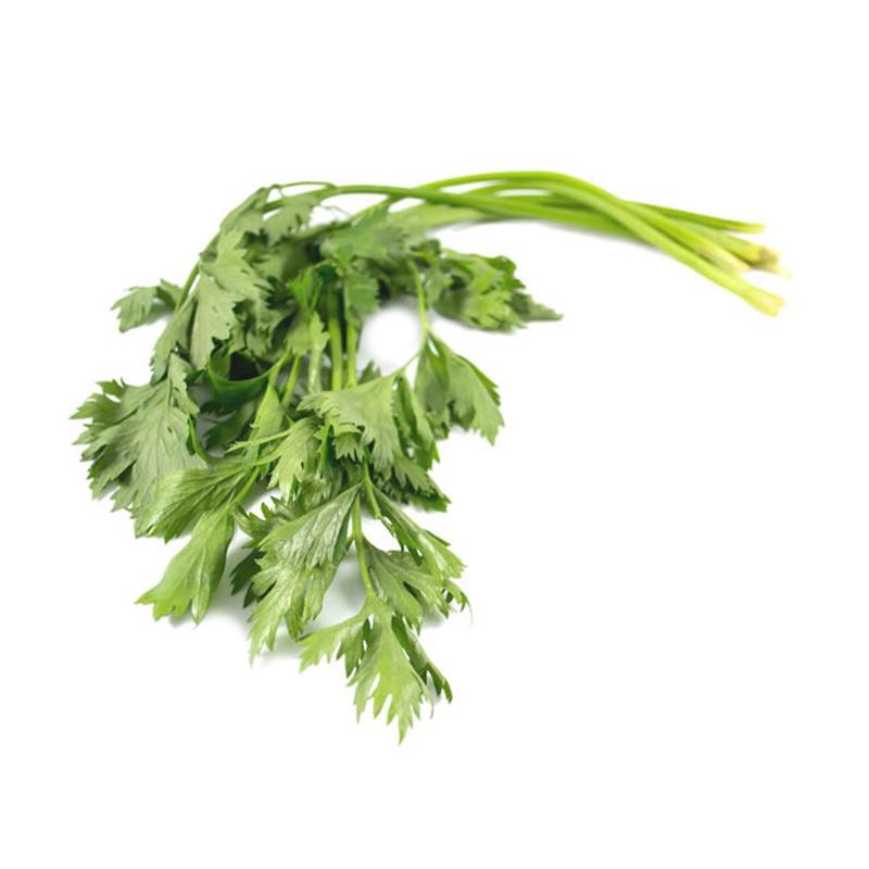 

Daun Seledri Tanpa Akar [50g]