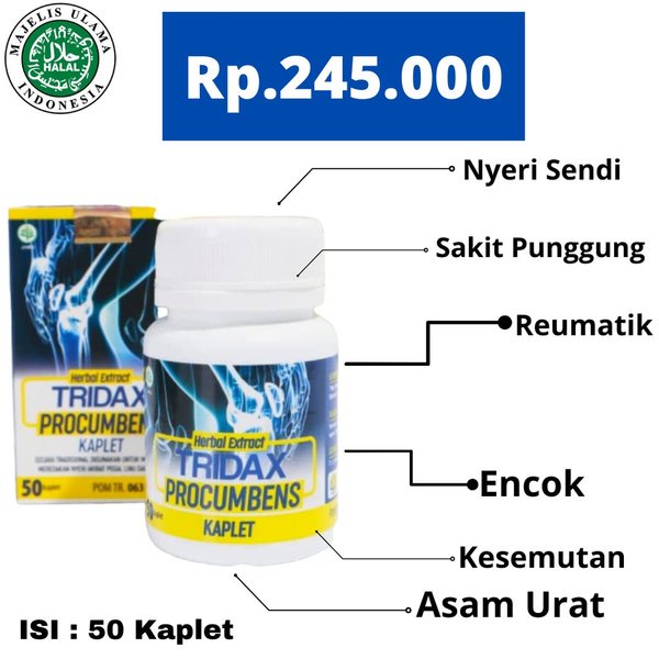 TRIDAX PROCUMBENS Original Obat Herbal Saraf Kejepit Asam Urat Pegal Linu Nyeri Sendi Encok Rematik Ampuh