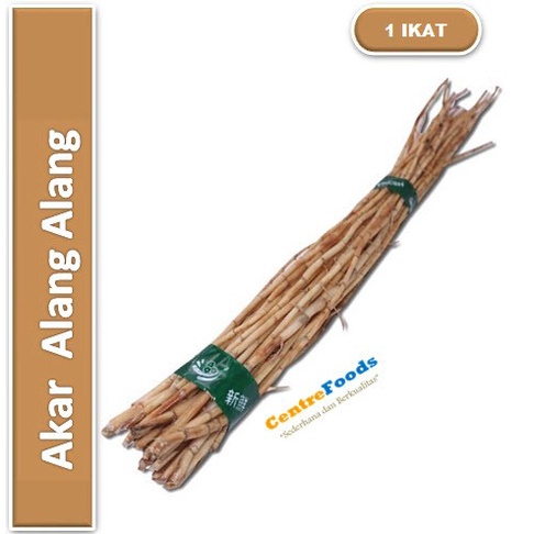 

Akar Alang Alang - Ilalang Fresh | 250gr [ Harga Per IKAT ]