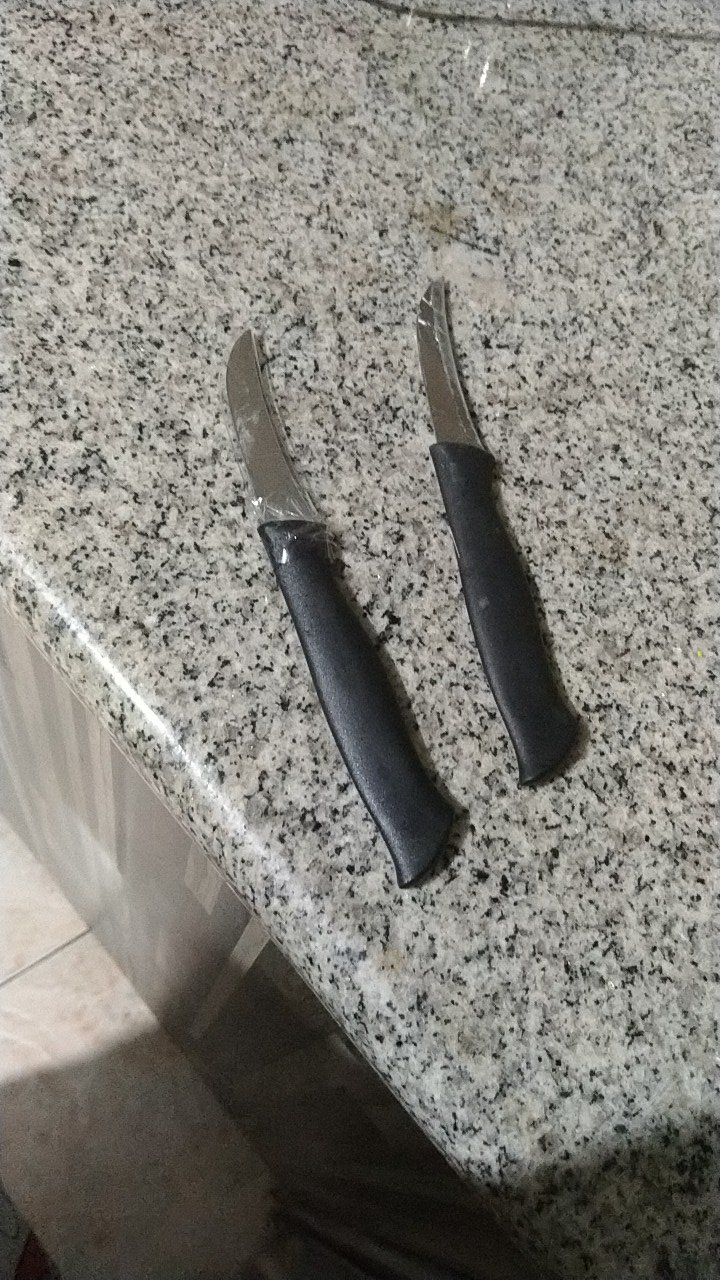 Pisau Grafting Cangkok Okulasi Ukir Buah Knife Fruit Lokal