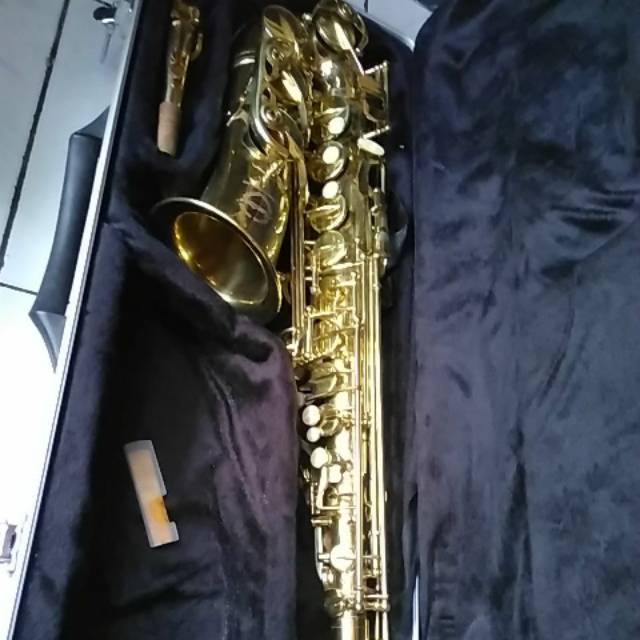 Saxophone Alto Maxtone