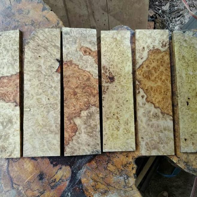 

Burl Amboyna Tipis