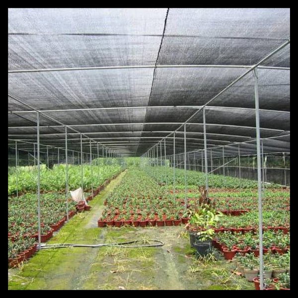 Paranet Jaring 75% 1 Meter x 3 Meter