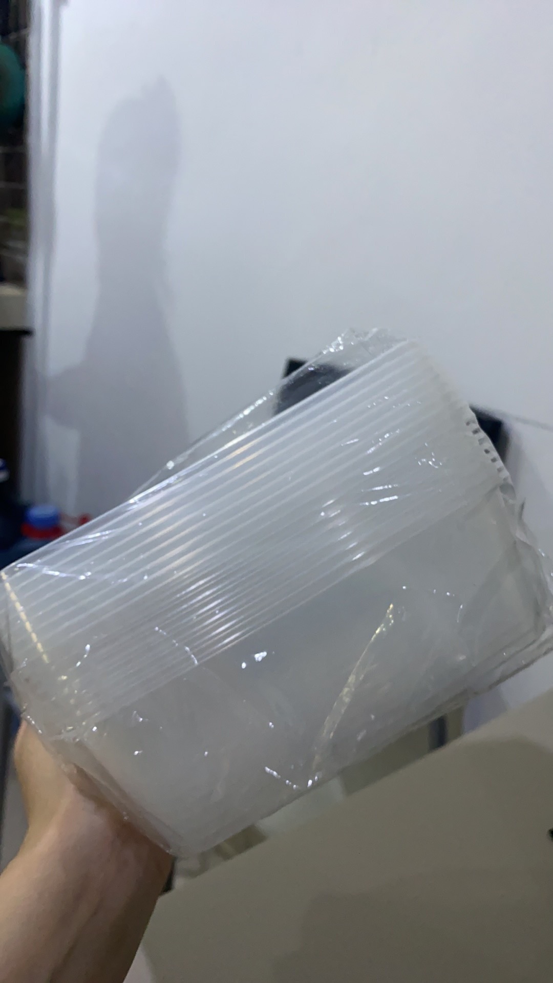 Isi 10 Thinwall Kotak Makan Box Makanan Plastik Bening 750ml