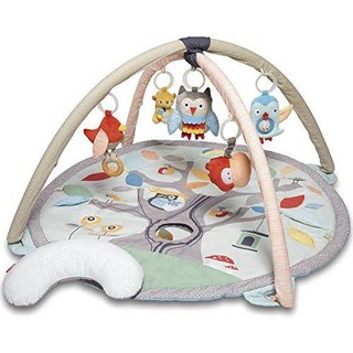 skip hop baby gym