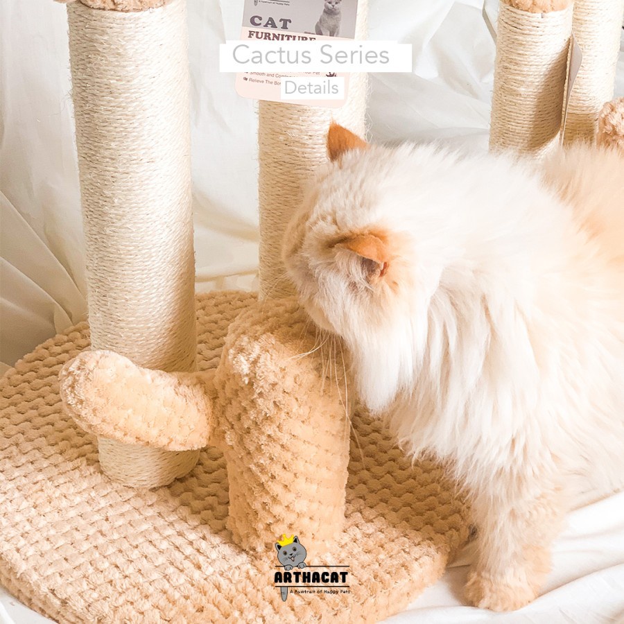 Cat Tree Cactus - Garukan Rumah Kucing Arthacat