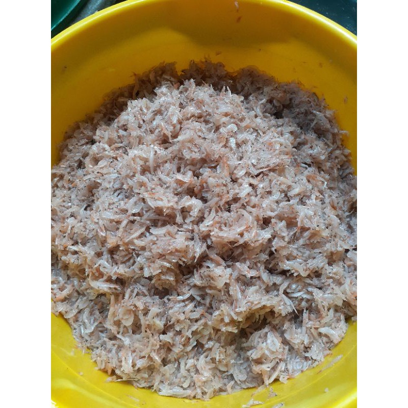 

HAKOI/ HAKOI CINCALOK/ HAKOI PUTIH/ HAKOI KALIMANTAN