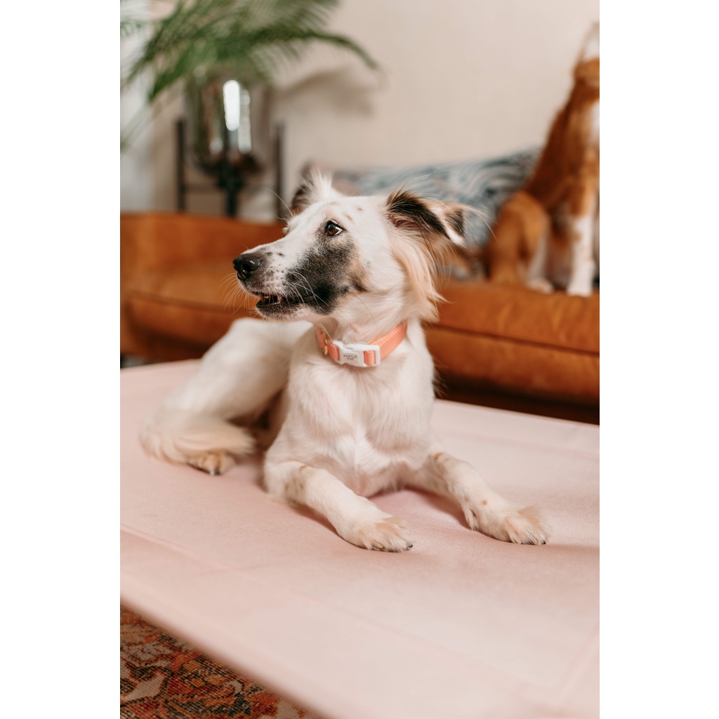 Gentle Pup - Happy Camper Pet Bed Cover (Mauve)