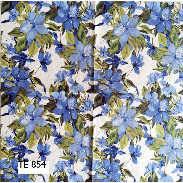 TISU NAPKIN DECOUPAGE EROPAH 33X33 CM TE 854  TTS