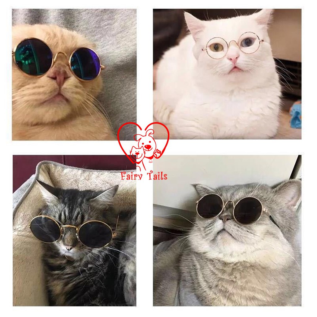 Kacamata Gaya Sunglasses Untuk Anabul Anjing dan Kucing