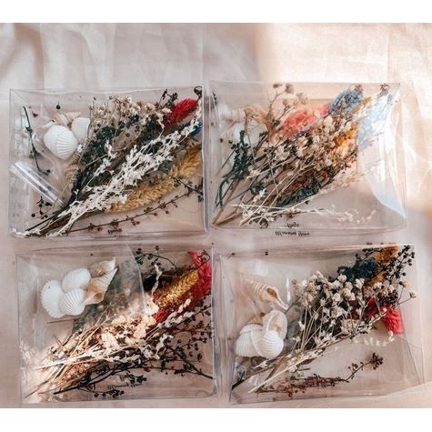 Seashelll and Dried Flowers Bundle - Paket Kerang dan Bunga Kering