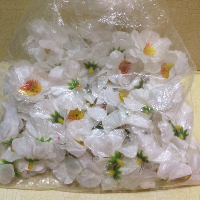 

Bunga sakura putih