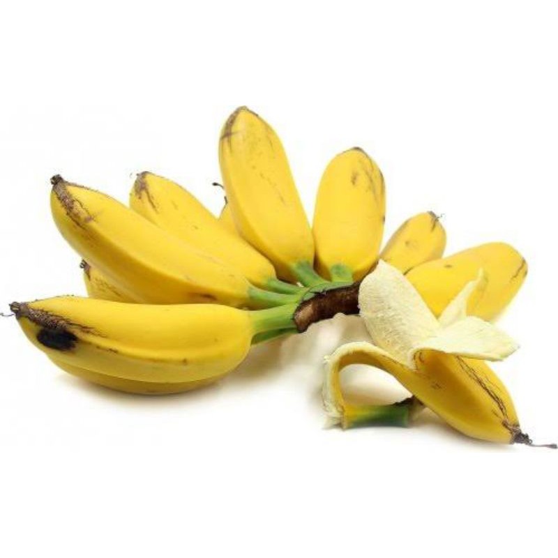 Bibit Pisang Kepok Kuning Super Unggul