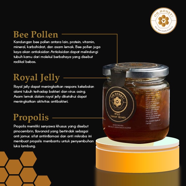 

bf011bb Wild Forest Honey 725Gr Ds201Fs