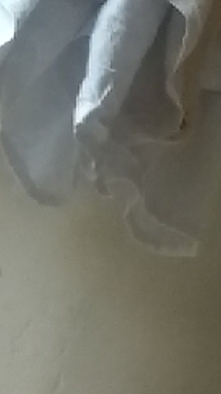 Trolis Size M Grosir Kemeja Batik Koko Pria Motif Pupos Koko Lengan Pendek Cowok Hijau