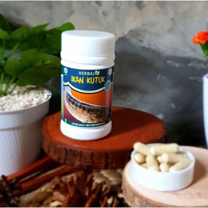 Kapsul Ikan Kutuk  El bumin kapsul Kutuk Asli premium Ikan Gabus Original