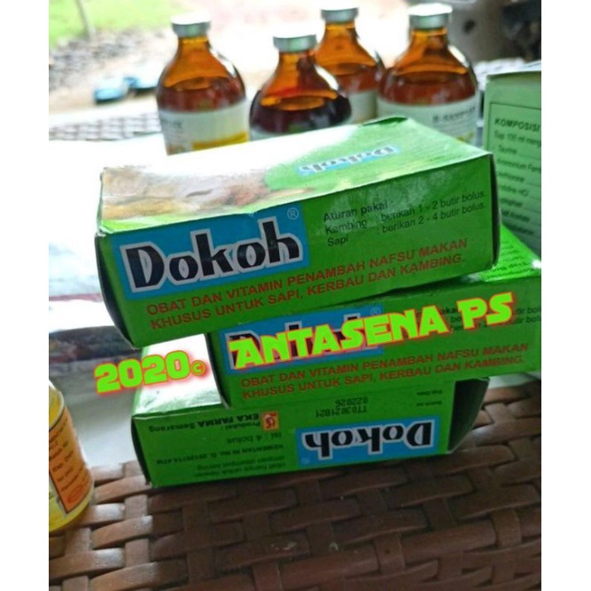 Pil DOKOH jamu ternak sapi domba kambing