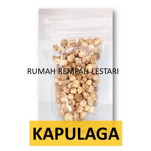 

Kapulaga Bulat Bumbu Dapur Rempah JSR