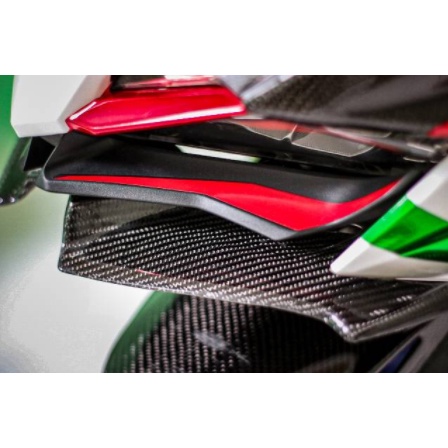 Winglet Carbon CBR 250rr Winglet CBR250rr Carbon Kevlar
