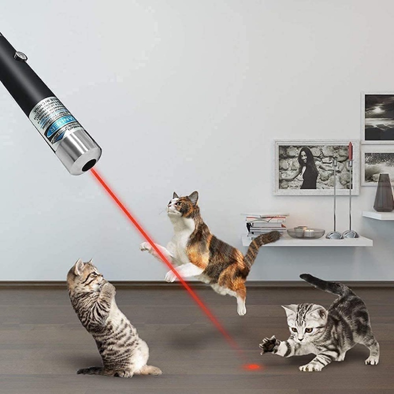 Pen Laser Pointer 5mw Warna Merah Hijau Biru Ungu Untuk Kucing Anjing