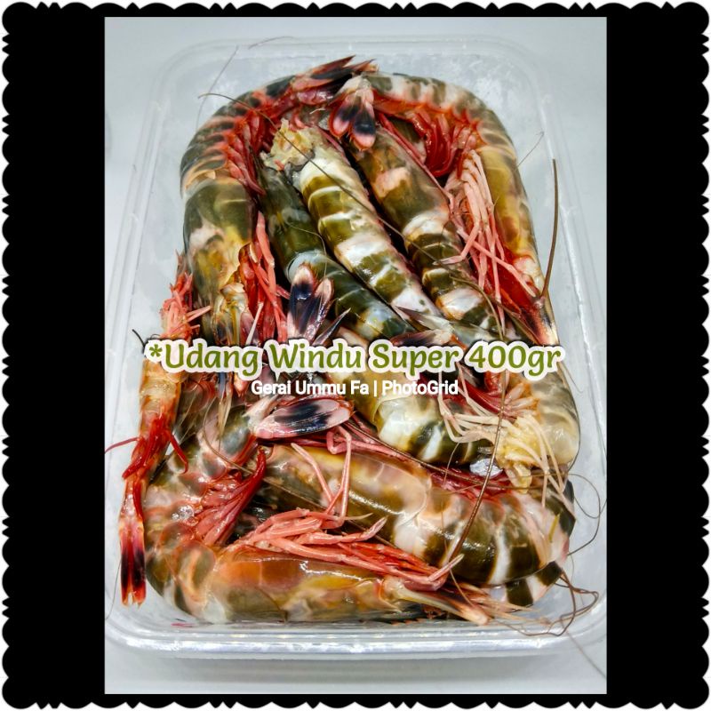 Udang Windu Tiger Super 400gr