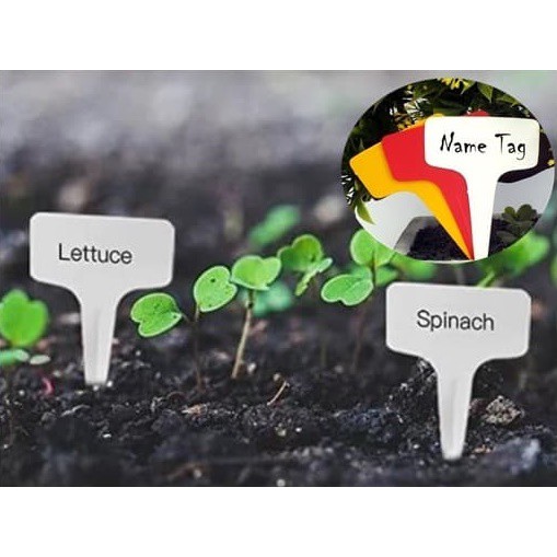

Label Tanaman T Name Tag ID Plant Hidroponik Plastik Isi 10 Pcs - LT04