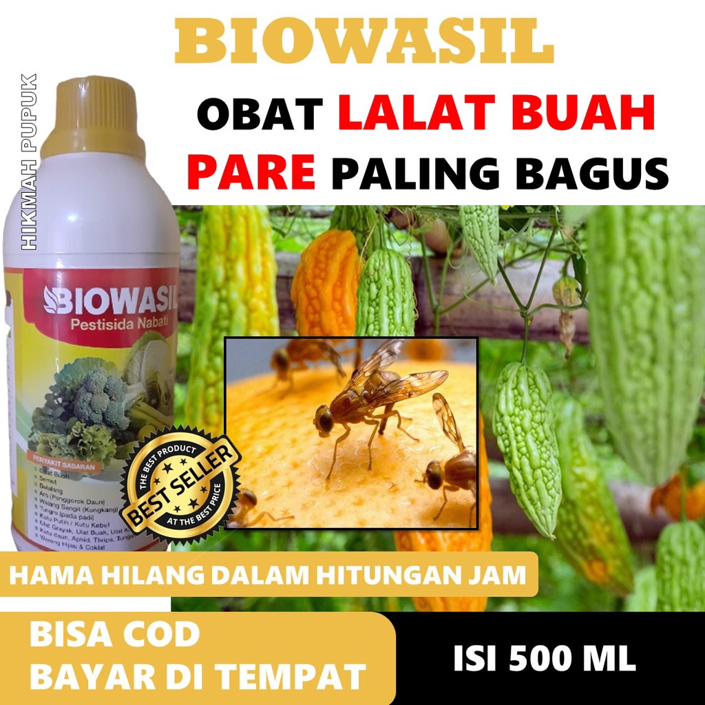 Obat Lalat Buah Pare Paling Ampuh BIOWASIL Pestisida Nabati 500 Ml - Obat Lalat Pare Alami Terbaik -