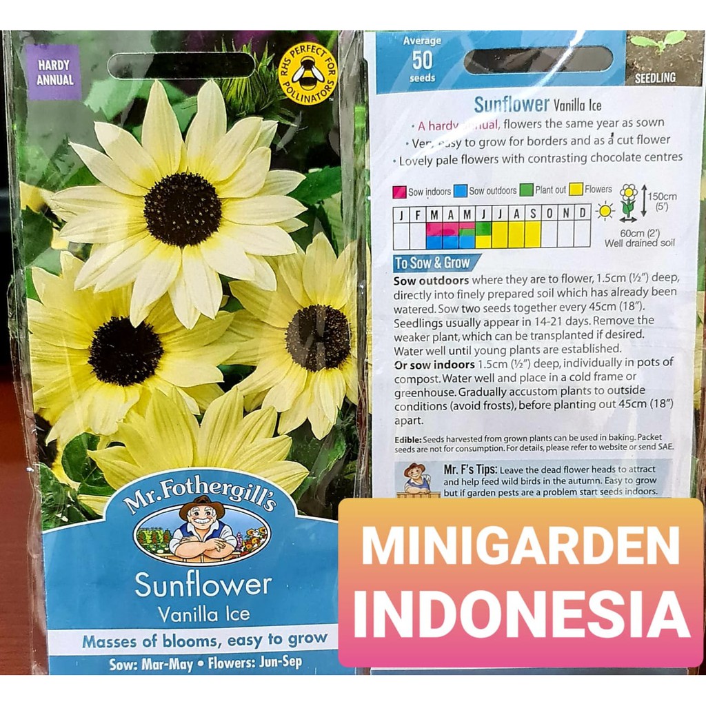 1 Pack 50 Benih Bunga Matahari F1 Sunflower Vanila Ice Fothergills Bibit Tanaman Hias Shopee Indonesia