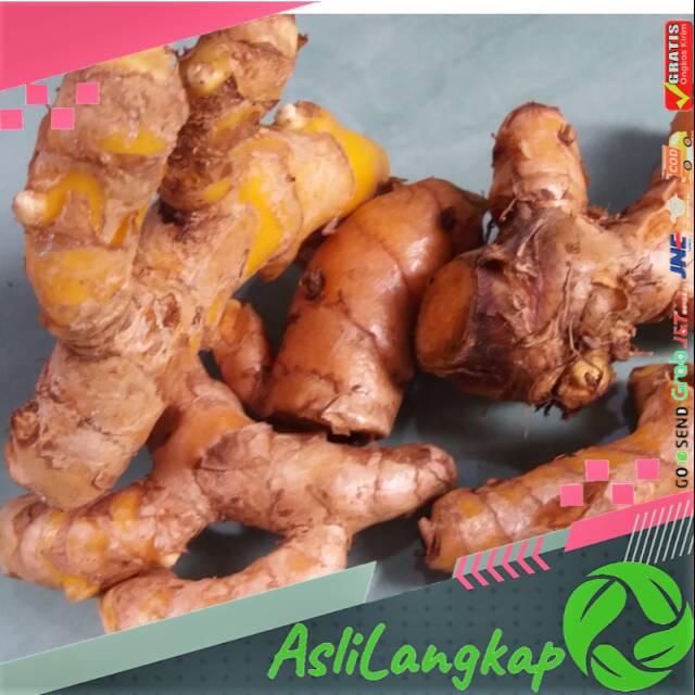 

Temulawak temu organik 500gr segar