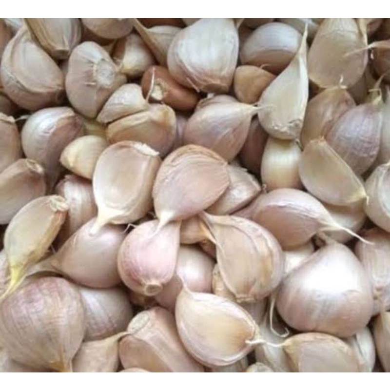 

BAWANG PUTIH FRESH SURGA KEBUTUHAN KU