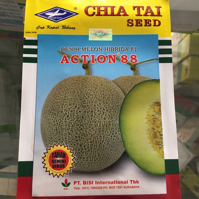 Benih Melon Action 88 Chia Tai Seed
