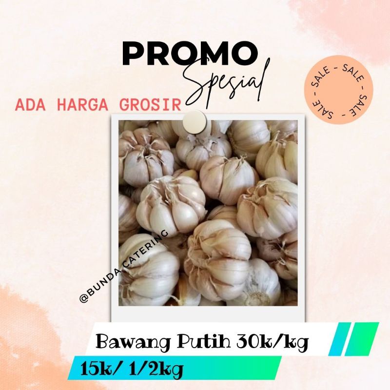 

Bawang Putih Biasa kg Murah