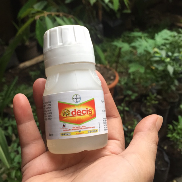 Insektisida DECIS