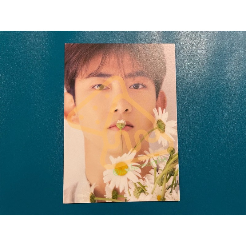 2PM Official Fan Club HOTTEST 8th special kit - postcard [Taecyeon]