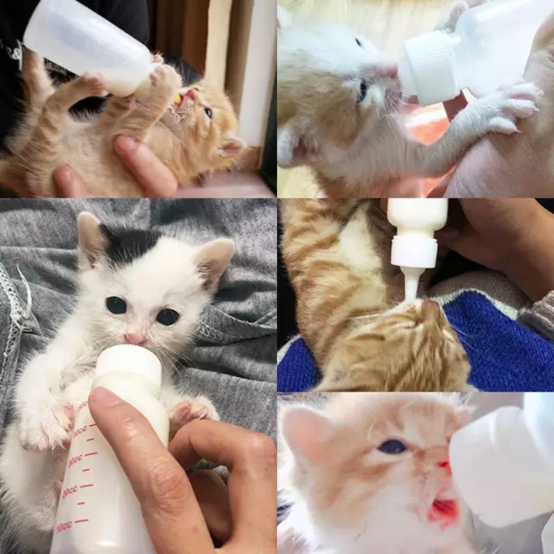 Botol Dot Susu Kucing 60 ml | Cat Milk Bottle 60 ml