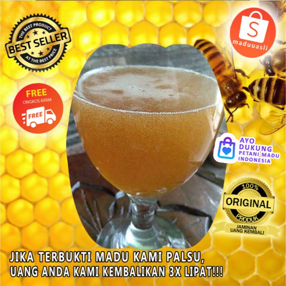 

Madu Asli Hutan Flores (NTT) Uji Lab PREMIUM Netto 1kg -