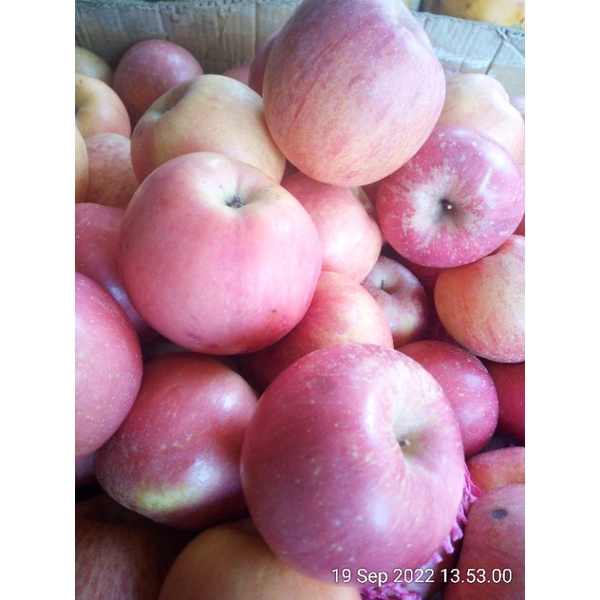 

apel fuji harga per 100gr Rp. 3500