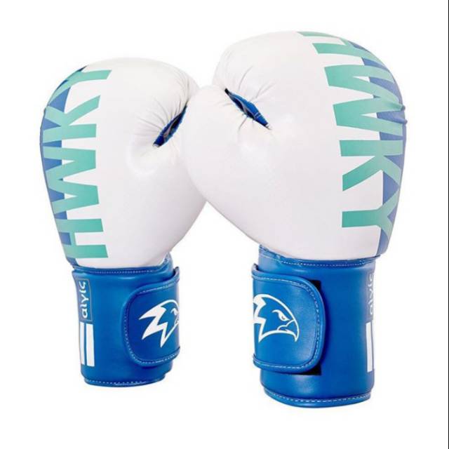 Hawkeye Fightwear Boxing Glove Aegis