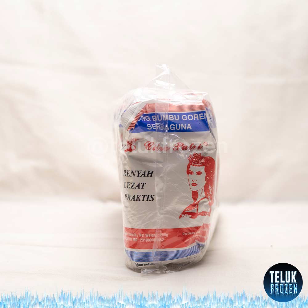 

tepung bumbu goreng serbaguna citra putri 250gr 250 gram 1 bal halal isi 10 pack gorengan siap masak saji praktis