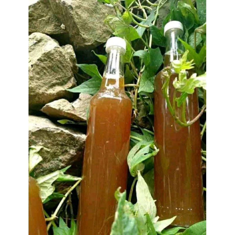

Madu Hutan Murni Tanpa Campuran