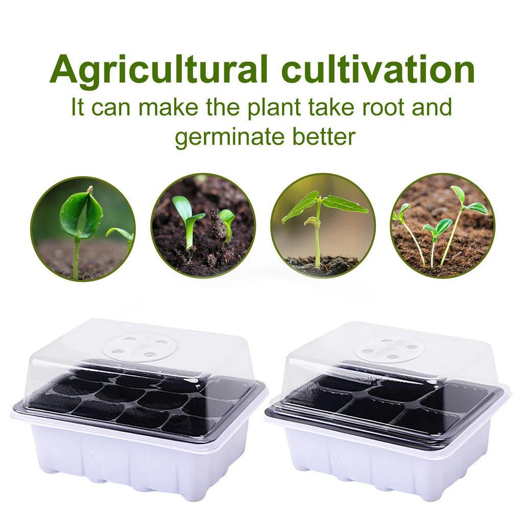 6/12 Holes Seedling Trays Seed Starter Starter Plant Flower Grow Seed Tray Box/Propagation For Gardening Grow Starting Germination Plastic Nursery Pots