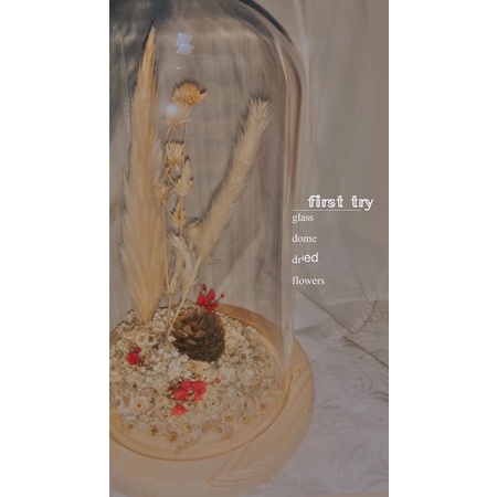 Glass Dome Dried Flowers